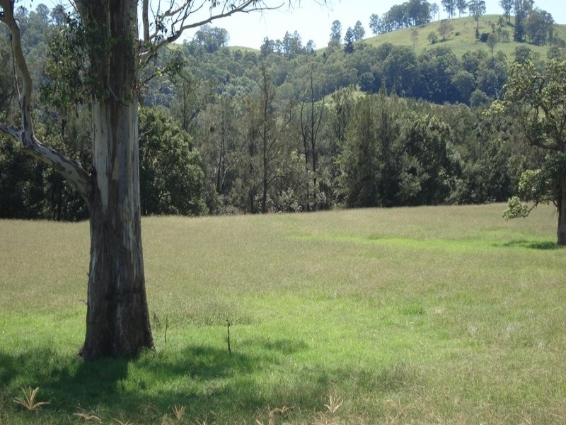 496 Iron Pot Creek Road, Kyogle NSW 2474