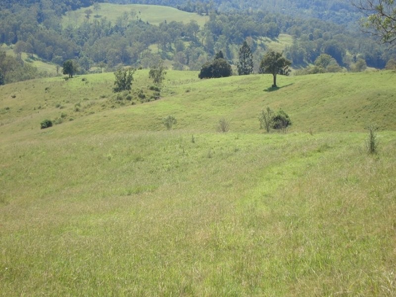 496 Iron Pot Creek Road, Kyogle NSW 2474