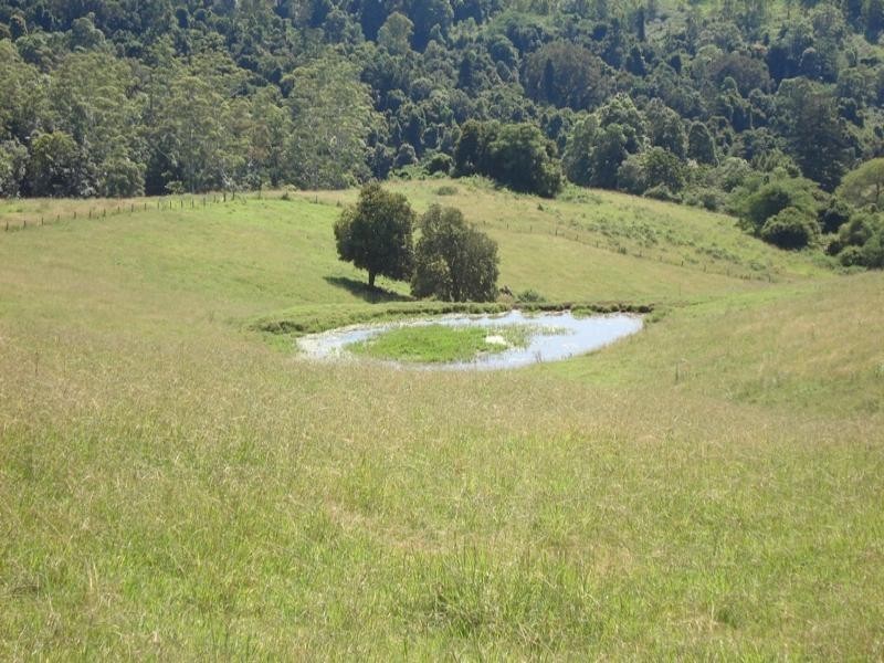 496 Iron Pot Creek Road, Kyogle NSW 2474