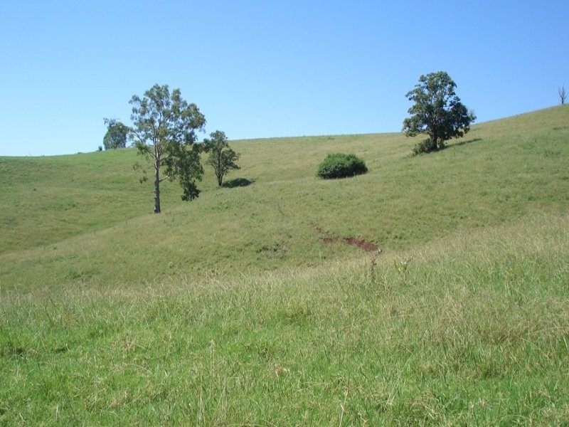 496 Iron Pot Creek Road, Kyogle NSW 2474