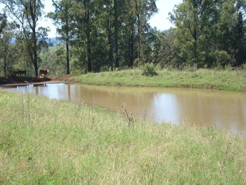 496 Iron Pot Creek Road, Kyogle NSW 2474