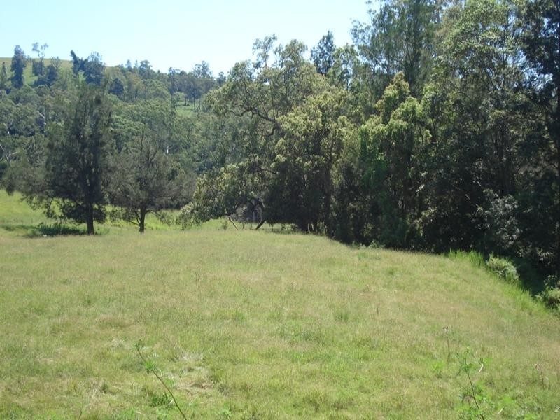 496 Iron Pot Creek Road, Kyogle NSW 2474