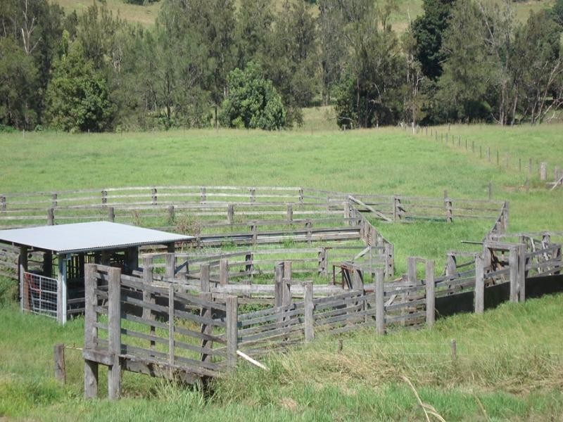 496 Iron Pot Creek Road, Kyogle NSW 2474