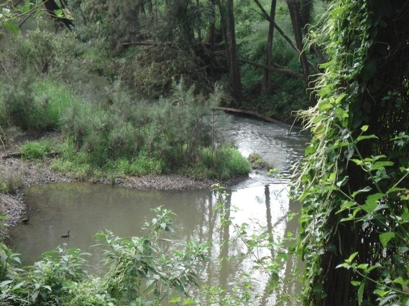 Dam Access Road, Kyogle NSW 2474