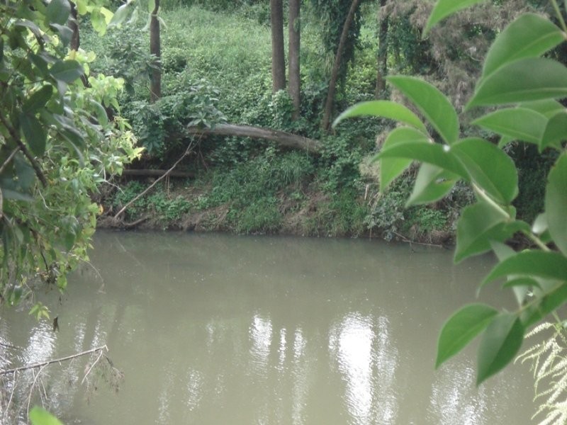 Dam Access Road, Kyogle NSW 2474