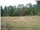 Dam Access Road, Kyogle NSW 2474