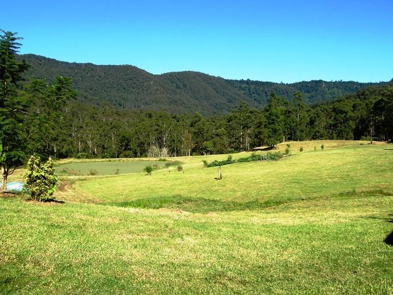 Roseberry Creek Road, Kyogle NSW 2474