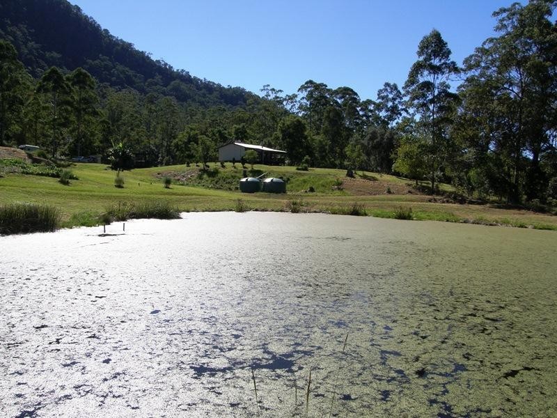 Roseberry Creek Road, Kyogle NSW 2474