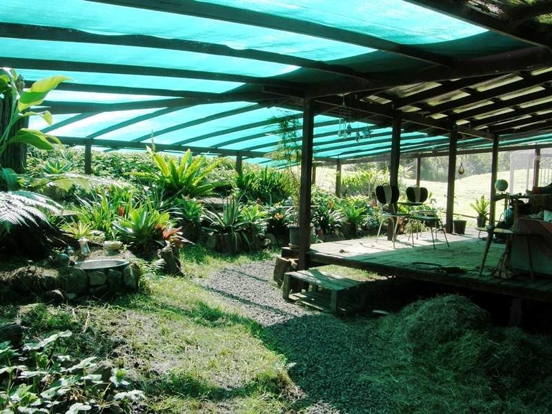 Roseberry Creek Road, Kyogle NSW 2474