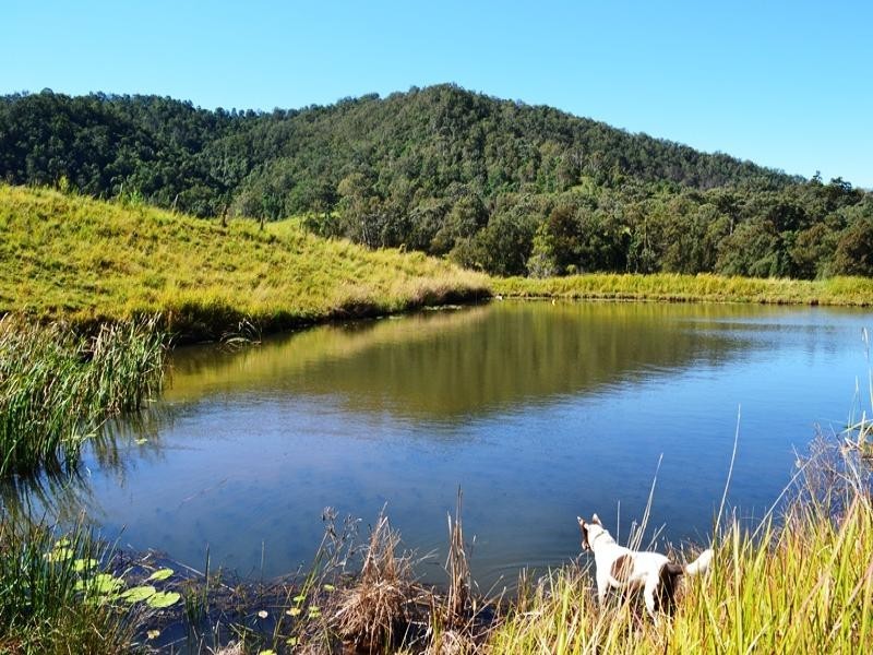 Smiths Creek Road, Kyogle NSW 2474