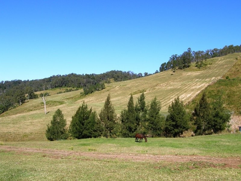 Smiths Creek Road, Kyogle NSW 2474