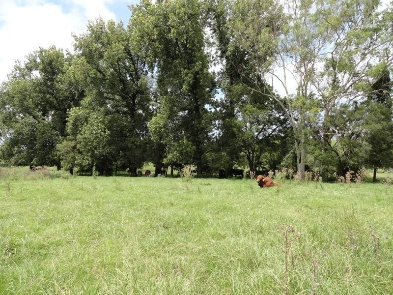 716 Back West Wiangaree Road, Kyogle NSW 2474