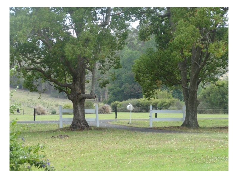 716 Back West Wiangaree Road, Kyogle NSW 2474