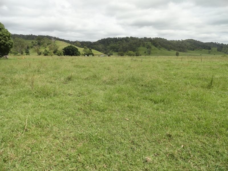 716 Back West Wiangaree Road, Kyogle NSW 2474