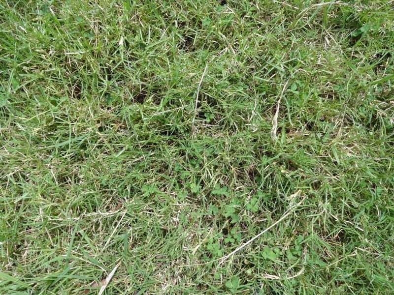 716 Back West Wiangaree Road, Kyogle NSW 2474