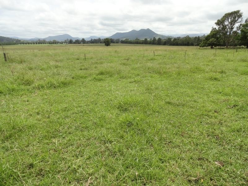 716 Back West Wiangaree Road, Kyogle NSW 2474