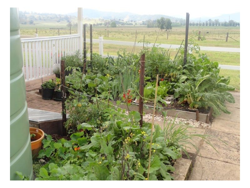 716 Back West Wiangaree Road, Kyogle NSW 2474