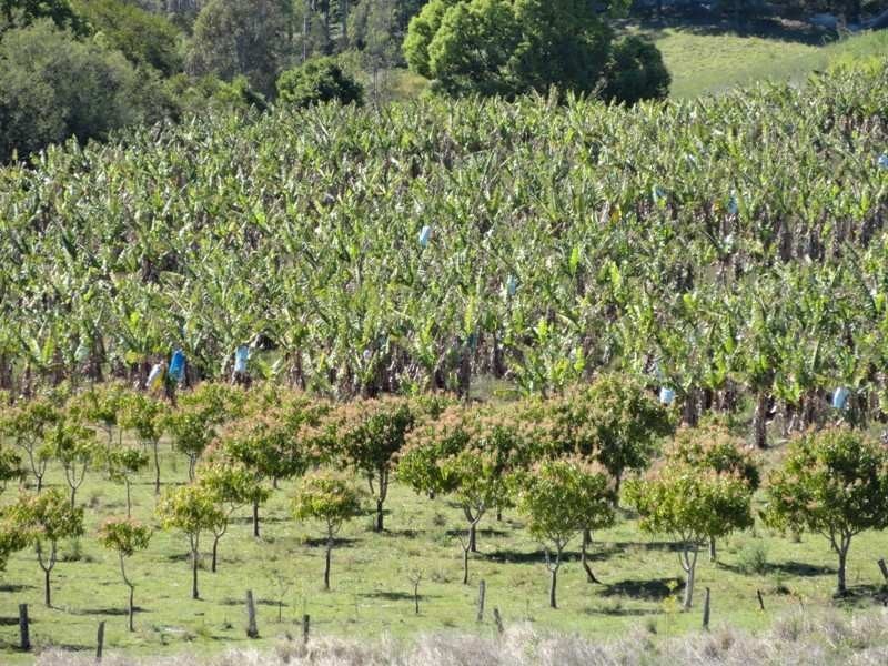 5643 Kyogle Road, Murwillumbah NSW 2484