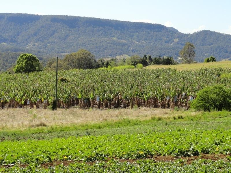 5643 Kyogle Road, Murwillumbah NSW 2484