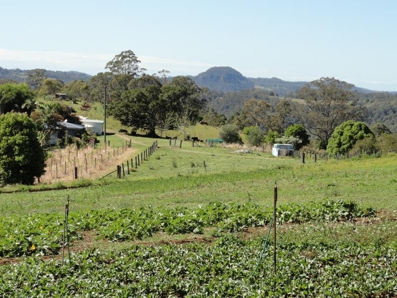 5643 Kyogle Road, Murwillumbah NSW 2484