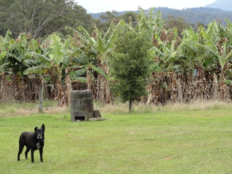 5643 Kyogle Road, Murwillumbah NSW 2484