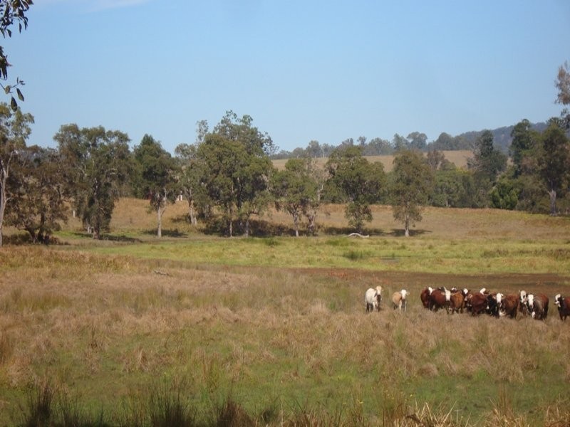 Dyraaba Road, Casino NSW 2470