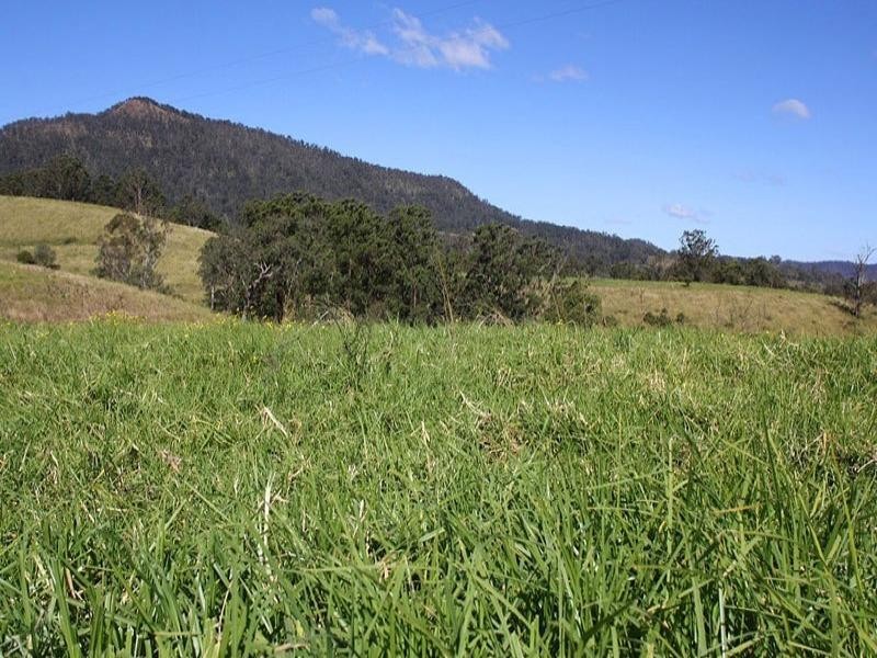 830 Gradys Creek Road, Kyogle NSW 2474