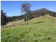 830 Gradys Creek Road, Kyogle NSW 2474
