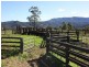 830 Gradys Creek Road, Kyogle NSW 2474