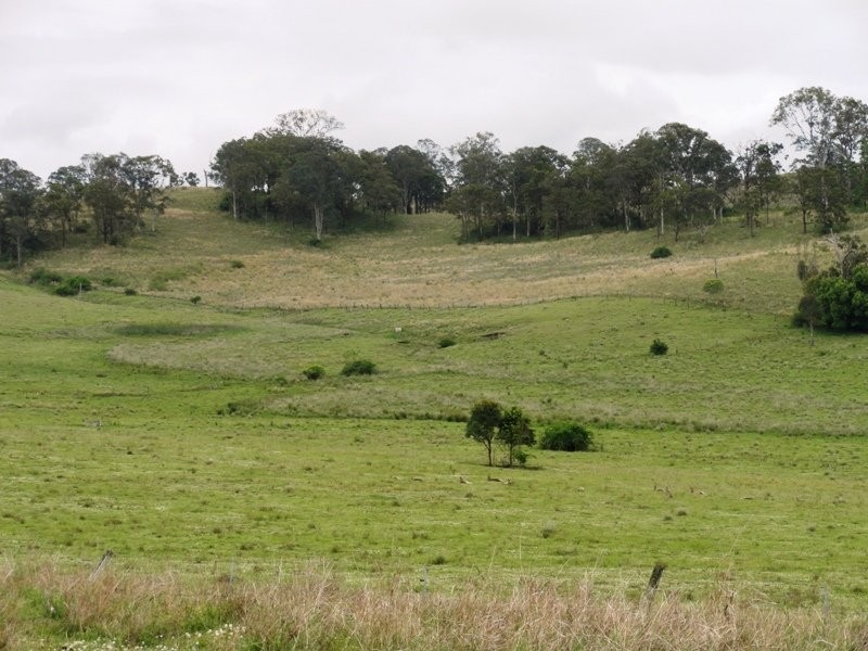 Kyogle NSW 2474