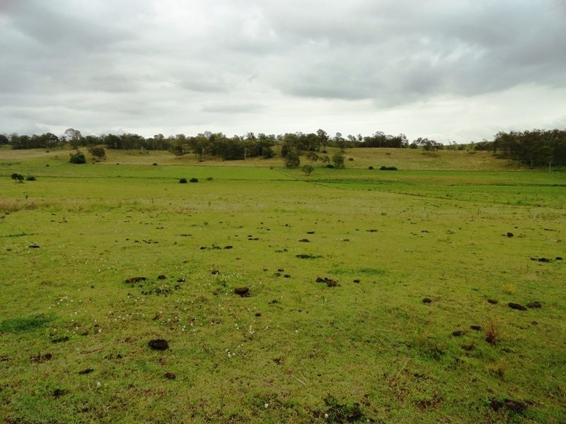 Kyogle NSW 2474