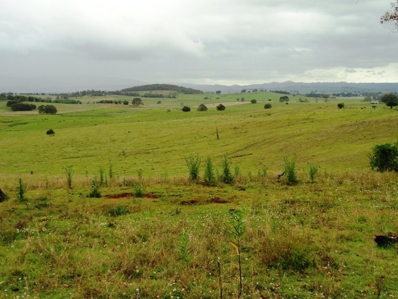 Kyogle NSW 2474
