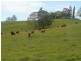 Edenville Road, Kyogle NSW 2474