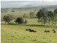 Edenville Road, Kyogle NSW 2474