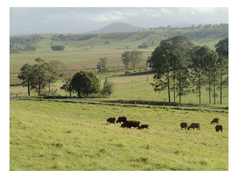 Edenville Road, Kyogle NSW 2474