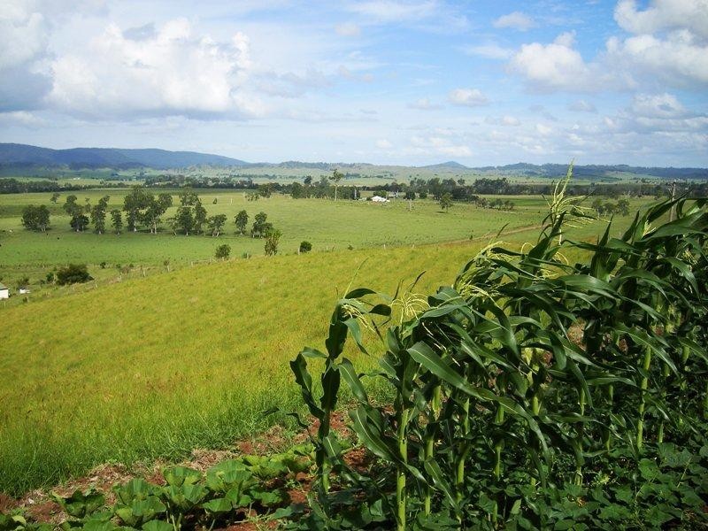Edenville Road, Kyogle NSW 2474