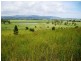 Edenville Road, Kyogle NSW 2474