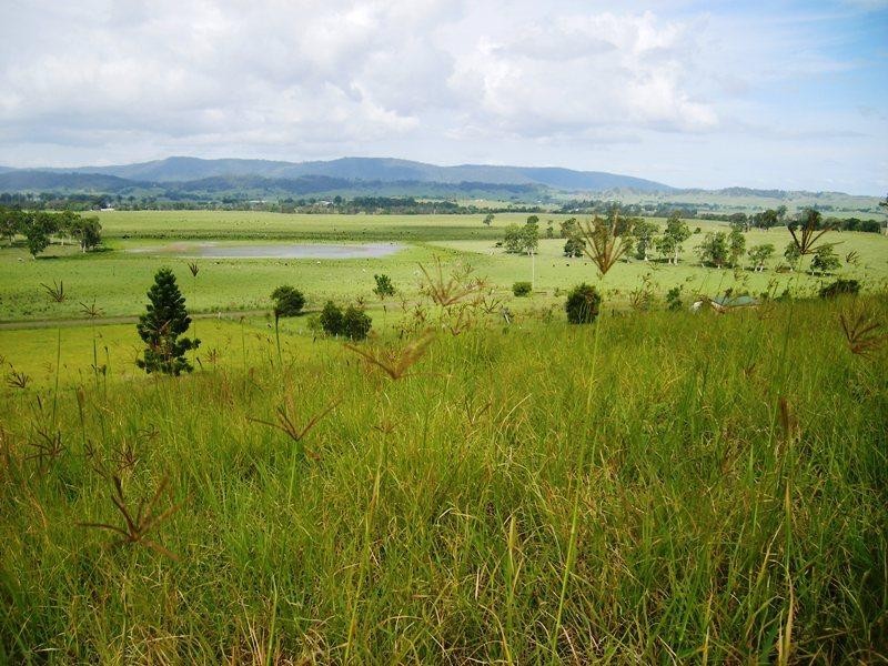 Edenville Road, Kyogle NSW 2474
