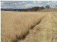 Edenville Road, Kyogle NSW 2474