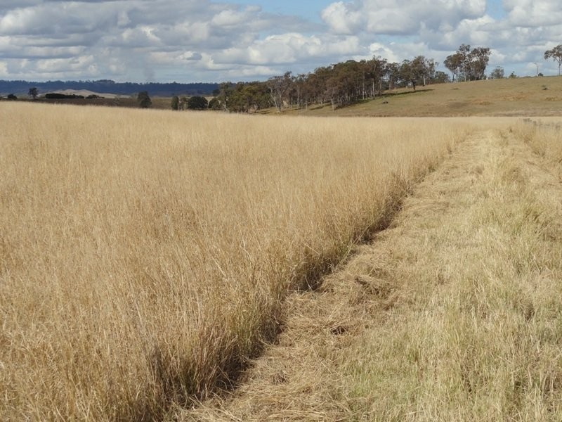 Edenville Road, Kyogle NSW 2474