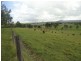Edenville Road, Kyogle NSW 2474