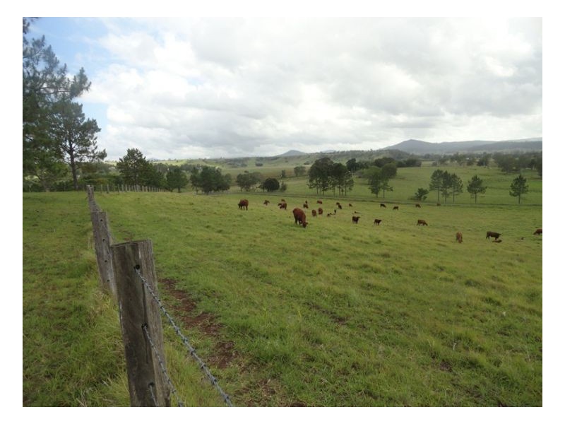 Edenville Road, Kyogle NSW 2474