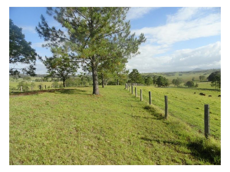 Edenville Road, Kyogle NSW 2474