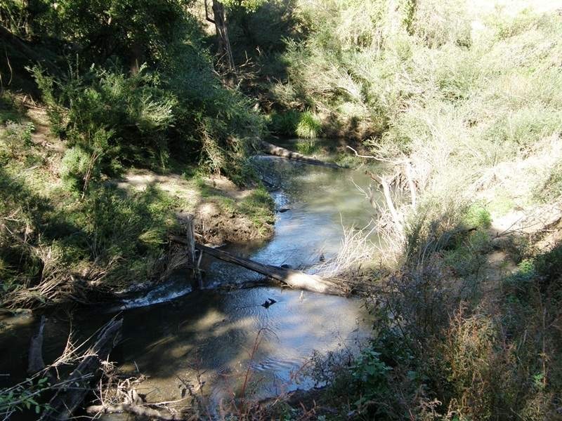 1270 Collins Creek Road, Kyogle NSW 2474