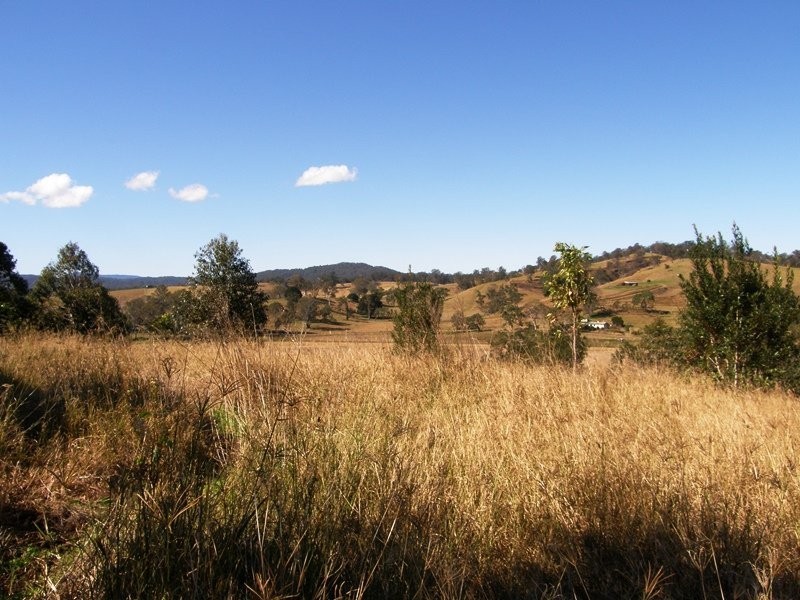 1270 Collins Creek Road, Kyogle NSW 2474