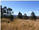 1270 Collins Creek Road, Kyogle NSW 2474