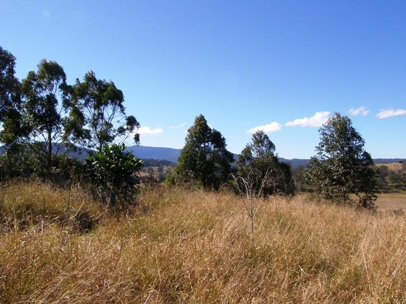 1270 Collins Creek Road, Kyogle NSW 2474