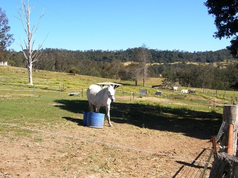 23 Newtons Road, Kyogle NSW 2474