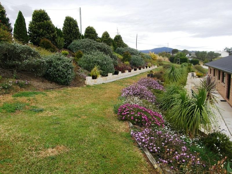 251 Collins Creek Road, Kyogle NSW 2474