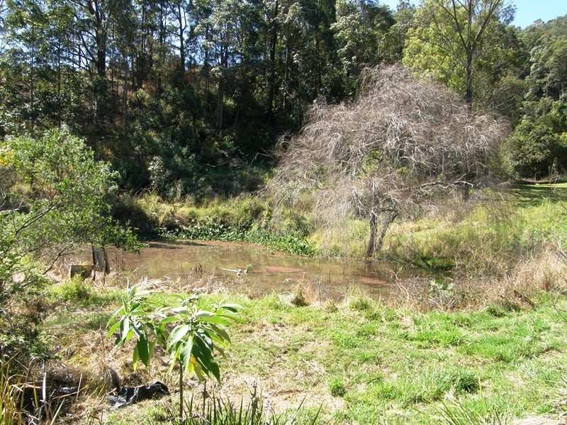 116 Boorabee Creek Road, Kyogle NSW 2474
